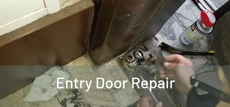 Entry Door Repair