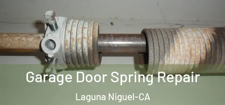 Garage Door Spring Repair Laguna Niguel-CA