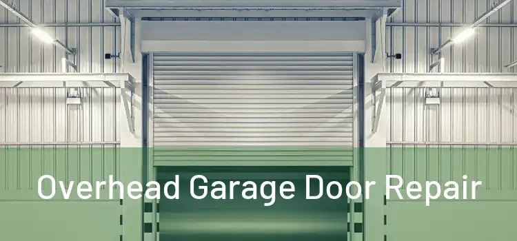  Overhead Garage Door Repair 
